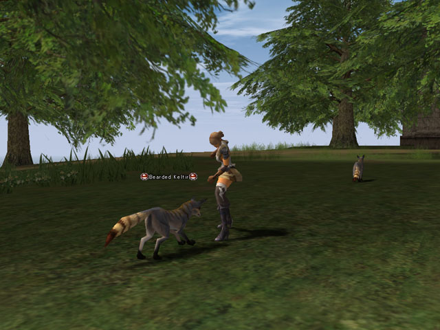 �������������� �����������