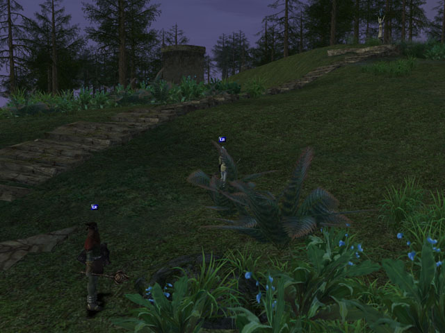 �������������� �����������